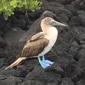 Meet your Posher, Leah